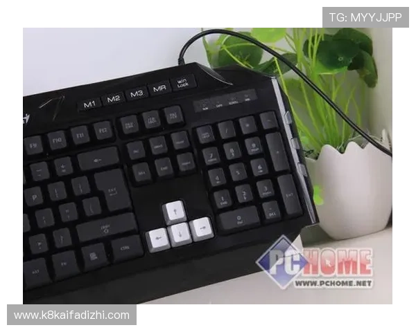 掌握K8电竞官方平台的安全保障措施，保障玩家账号与资金安全